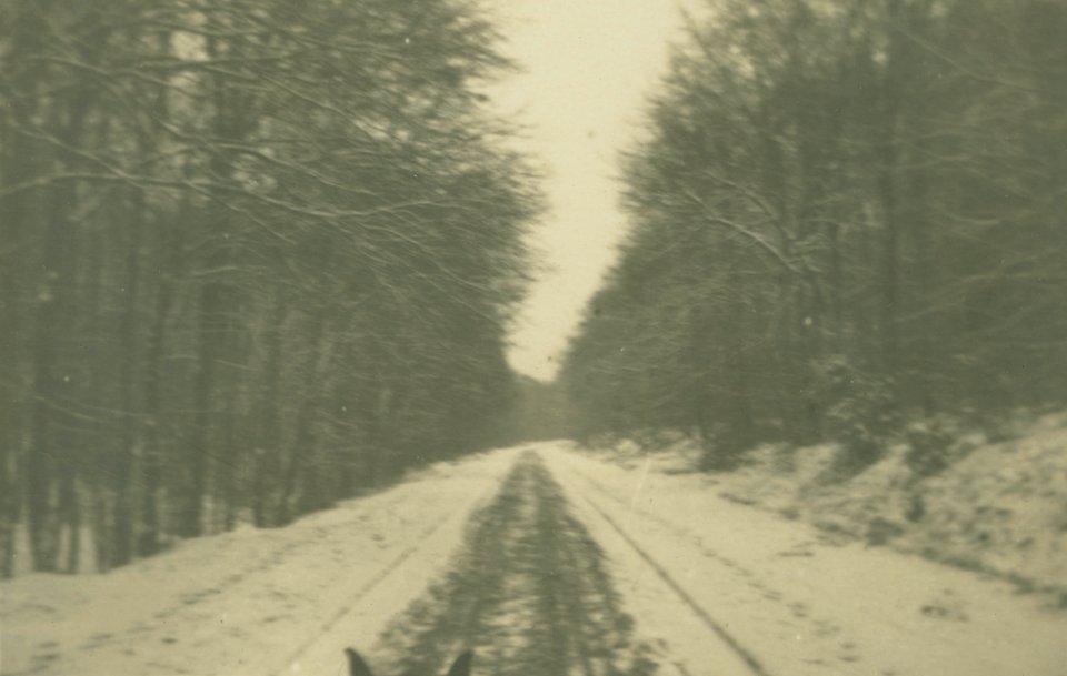 Paris leave Jan 1919, The park at Fontainebleau 1