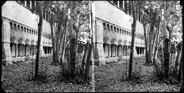 Part del claustre del monestir de Sant Cugat del Vallès amb uns arbres en primer terme