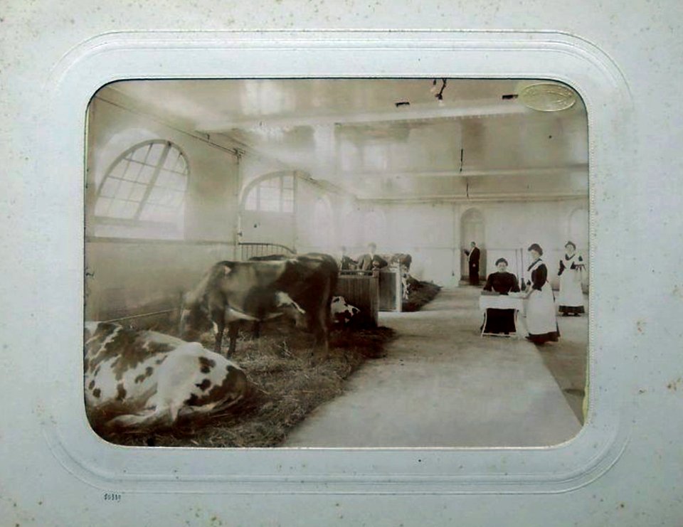Paris, Bois de Boulogne, Paillard - Ferme du Pré Catelan (J David, 1906) - 6