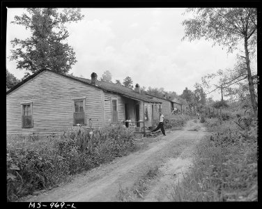 Part of company housing project occupied by Negro miners and their families. Consolidated Coal Company, Bankhead... - NARA - 540635