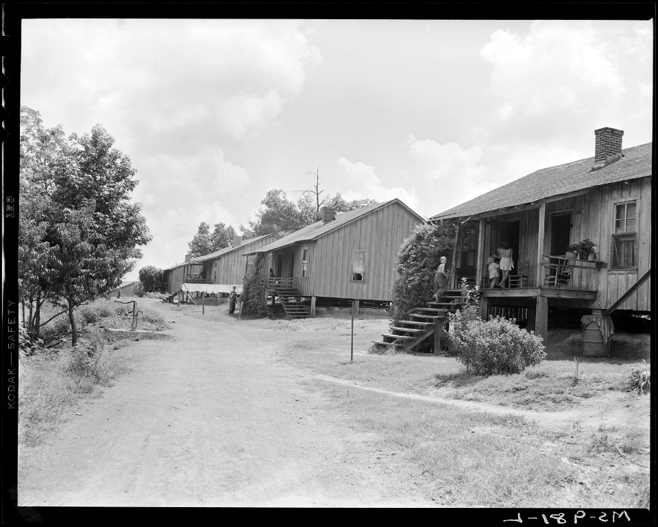 Part of company housing project. Consolidated Coal Company, Bankhead Mine, Bankhead, Walker County, Alabama. - NARA - 540639