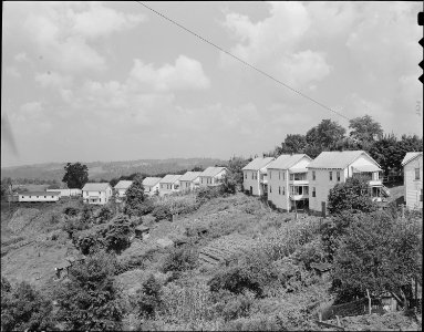 Part of company housing project. Jewell Ridge Coal Company, Jewell Ridge Mine, Jewell Ridge, Tazewell County, Virginia. - NARA - 540702
