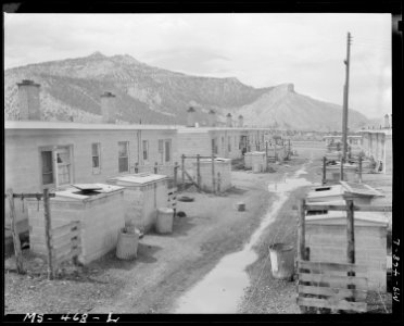 Part of government housing project adjacent to King Mine. Hiawatha, Carbon County, Utah. - NARA - 540431
