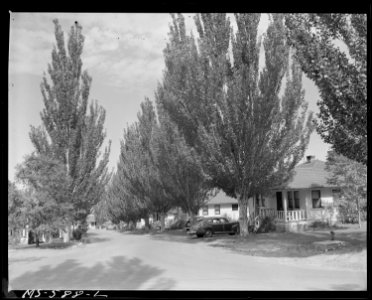 Part of housing project for miners. Columbia Steel Company, Columbia Mine, Columbia, Carbon County, Utah. - NARA - 540508