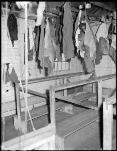Part of wash and change house for miners. Boulder Valley Coal Company, Centennial Mine, Louisville, Boulder, Colorado. - NARA - 540455
