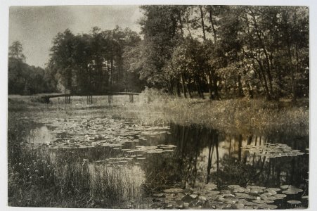 Parečča, Skirmunt. Парэчча, Скірмунт (J. Bułhak, 1937)