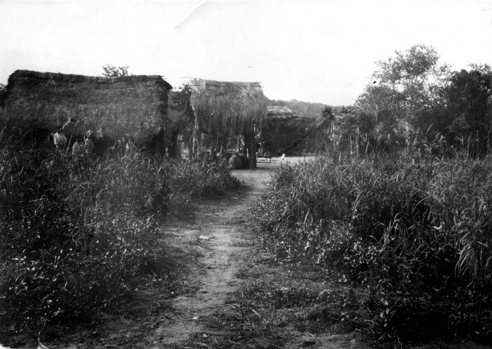 Parti av chanéby. Lokal, Rio Itiyuro, v. Argentina. Stam, Chané. Rio Itiyuru - SMVK - 004982