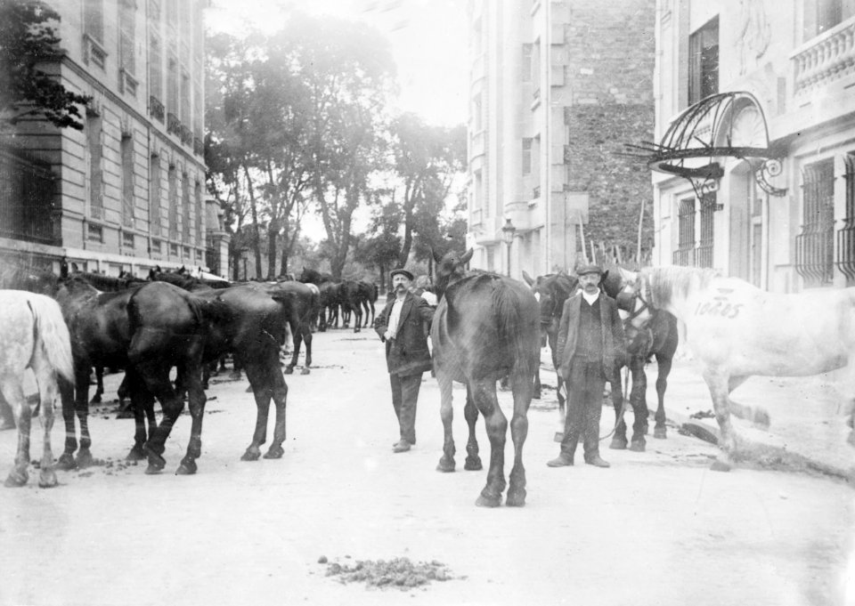 Paris -- horses taken for war (LOC)