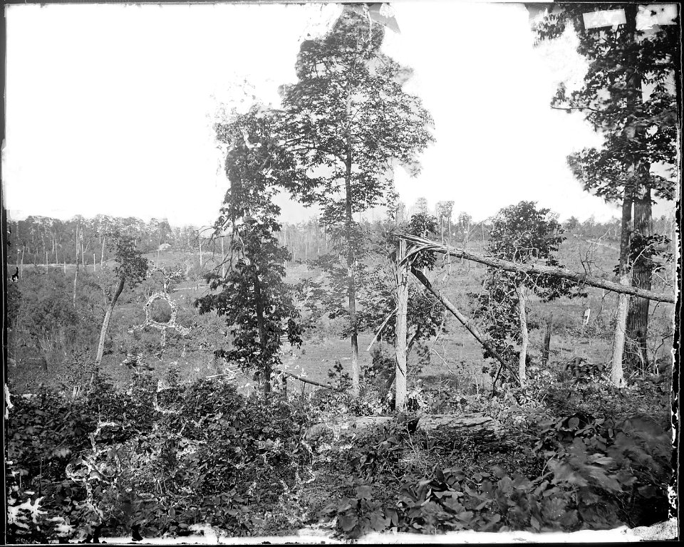 Part of Resaca battlefield, Ga., 1864 - NARA - 528867