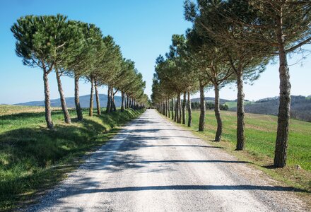 Road travel adventure photo