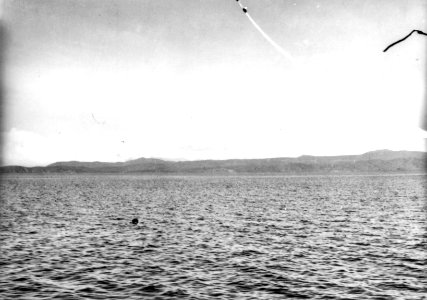 Parti av sjön, Lago Titicaca. Titicacasjön - SMVK - 002414