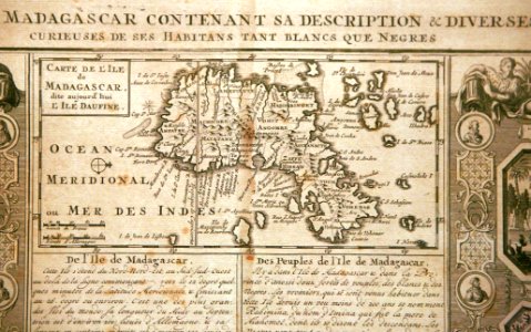 Particularités de Madagascar mg 8540