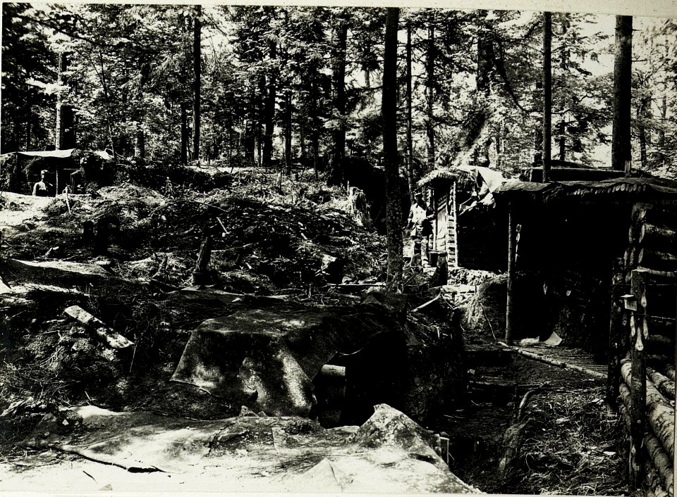 Pass Tronya-Wyszkow; Eigene Schützengräben im Walde. (BildID 15431107)