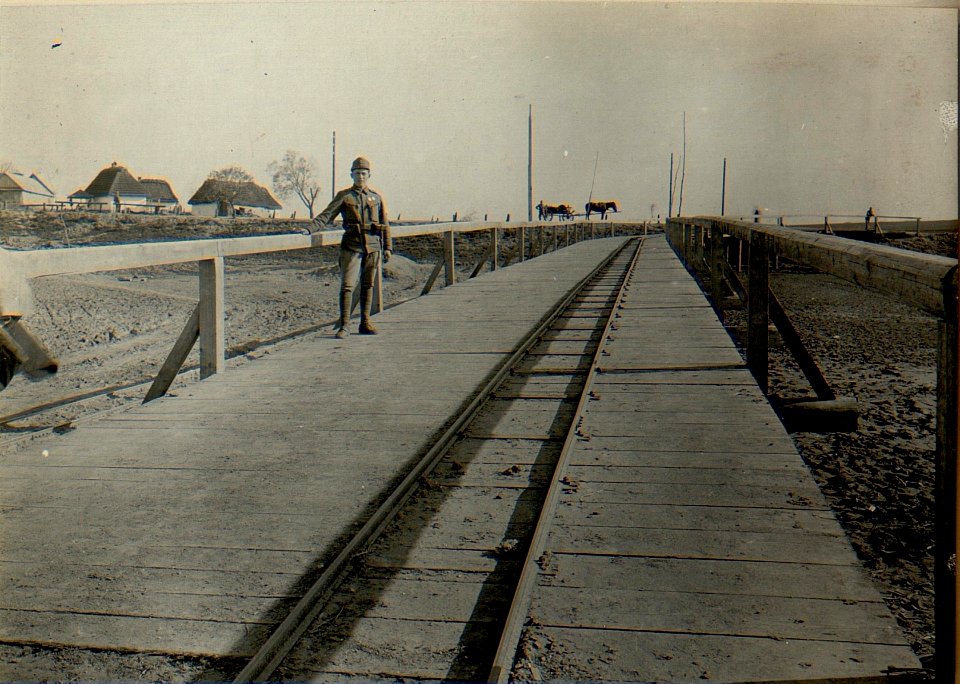 Partie von der Feldbahn (BildID 15524446)