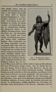 Passau mit126 abbild - w schmid - 0017
