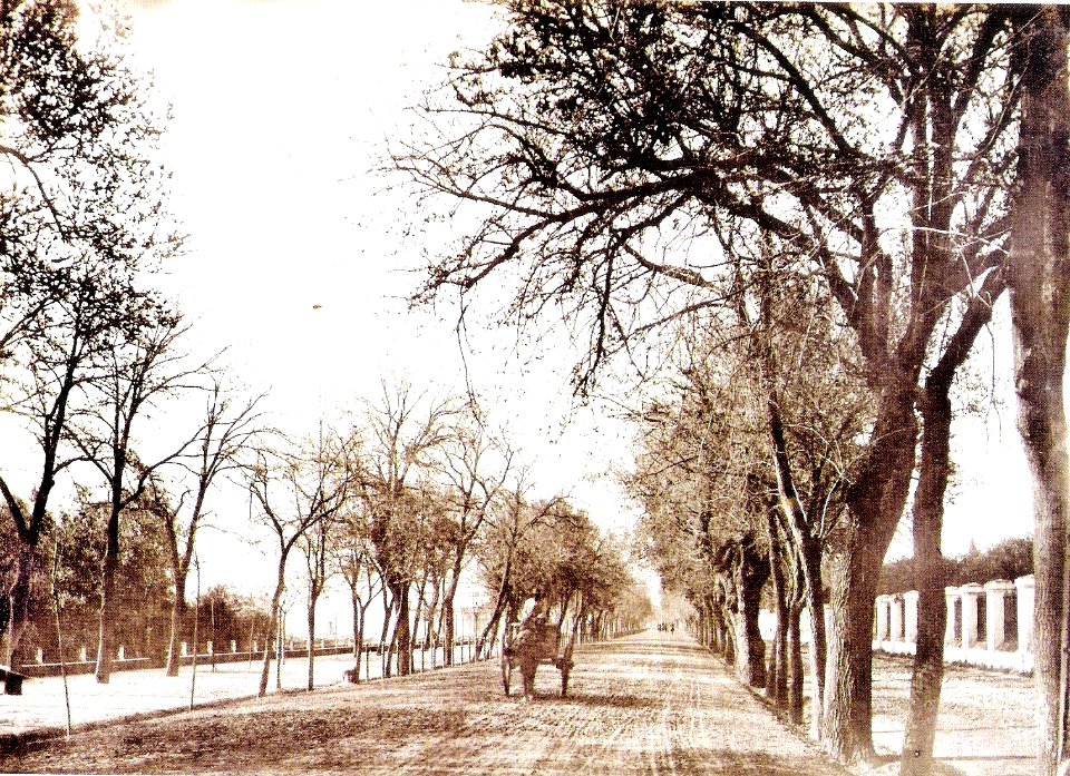 Paseo de las Delicias (1878)