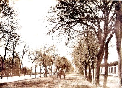 Paseo de las Delicias (1878) photo