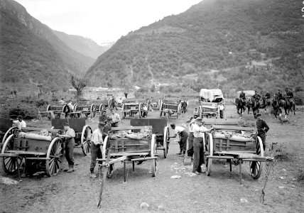 Parkdienstarbeiten an Fuhrwerken - CH-BAR - 3238575