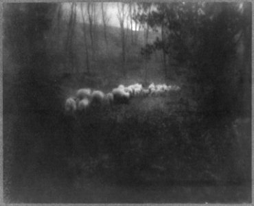 Pastoral-Moonlight LCCN2003674952