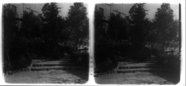Parterre dels jardins Comas de Sarrià , El