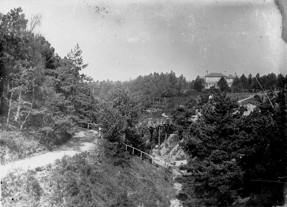 Parkland scene (4641547)