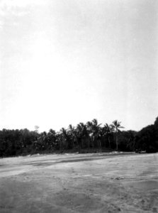 Parti av stranden vid Punta Gorda. Pearl Islands. Panama - SMVK - 004155
