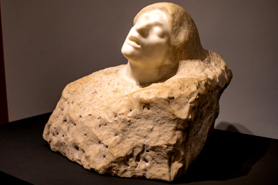Passion Leidenschaft-Rodin-La douleur DSC7278