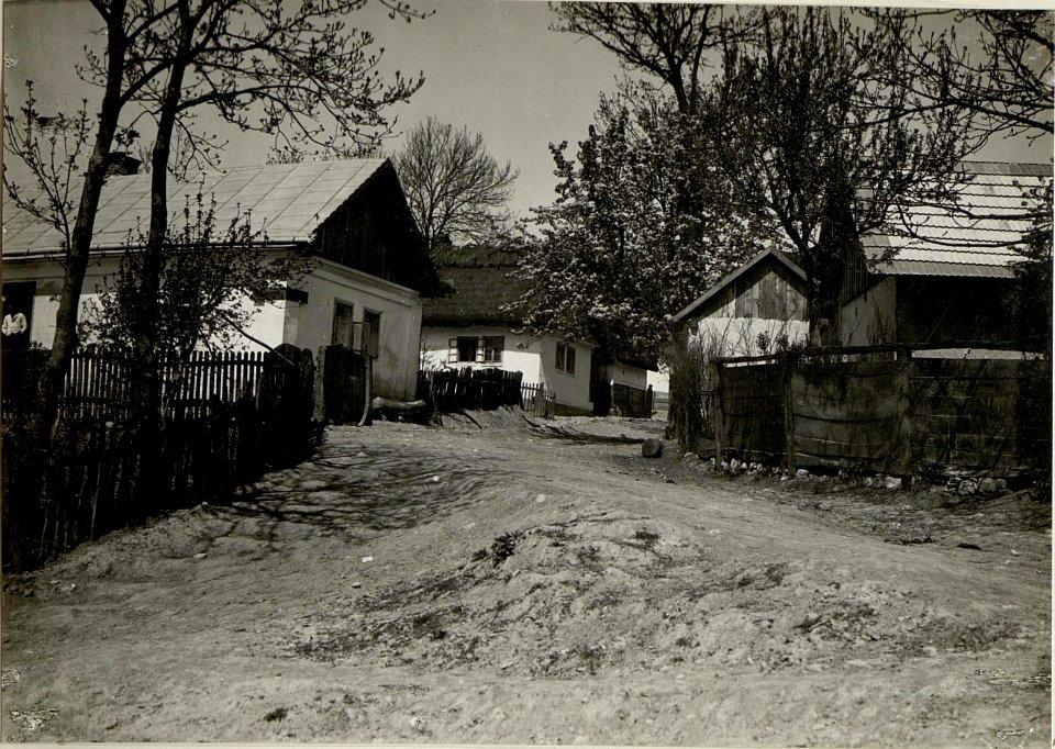 Partie an der Zlota Lipa, Pomorzany