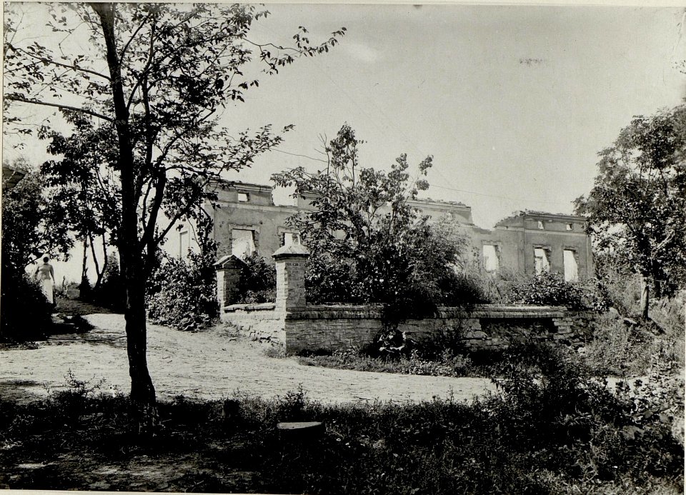 Partie aus Sboriw (Zborow) nach dem Durchbruch, 1917 (BildID 15543957)