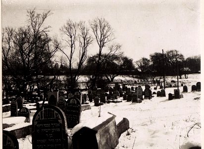 Partie vom Judenfriedhof. (März.1918.) (BildID 15713160) photo