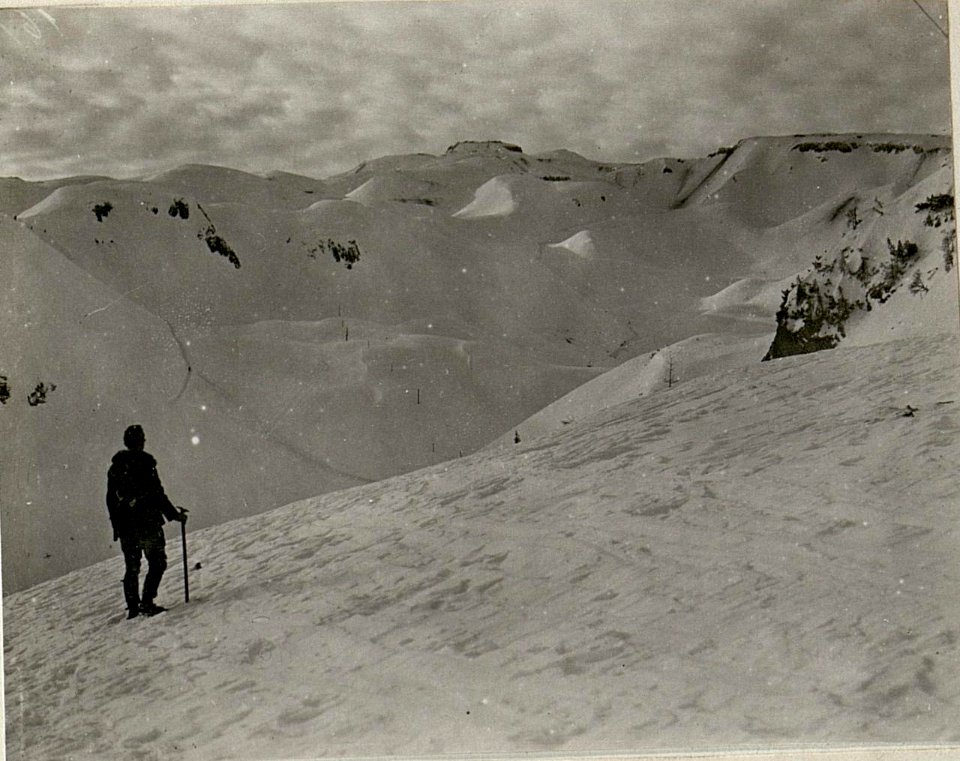 Pasubio-Mulde vom Südhang des Monte Buse (BildID 15625434)