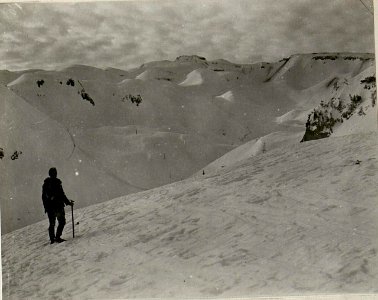 Pasubio-Mulde vom Südhang des Monte Buse (BildID 15625434)