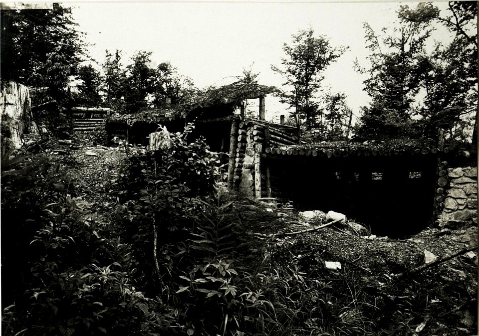 Pass Toronya-Wyszkow.Eigene Schützengräben im Walde. (BildID 15431163)