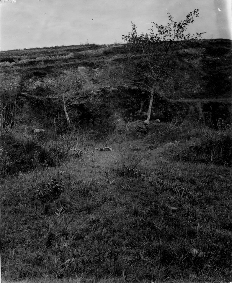Parti av det skulpterade berget. Lokal, Samaipata, SV. om S-a Cruz de la Sierra, Bolivia. Samaipata - SMVK - 005860