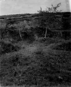 Parti av det skulpterade berget. Lokal, Samaipata, SV. om S-a Cruz de la Sierra, Bolivia. Samaipata - SMVK - 005860