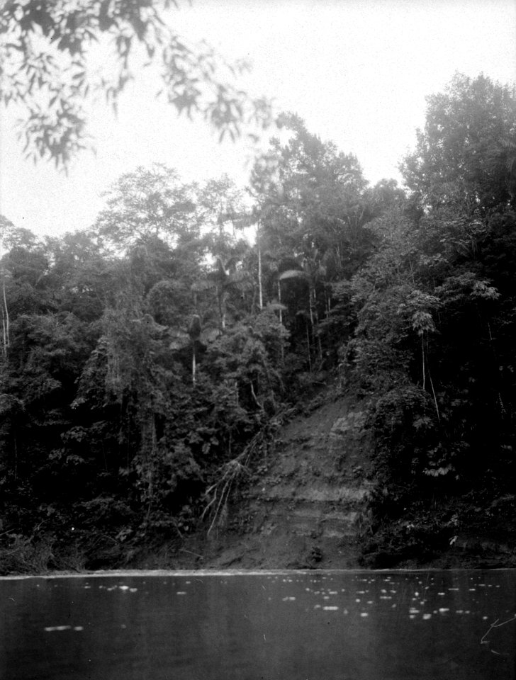 Parti av flodstranden. Rio Baudó. Colombia - SMVK - 003984