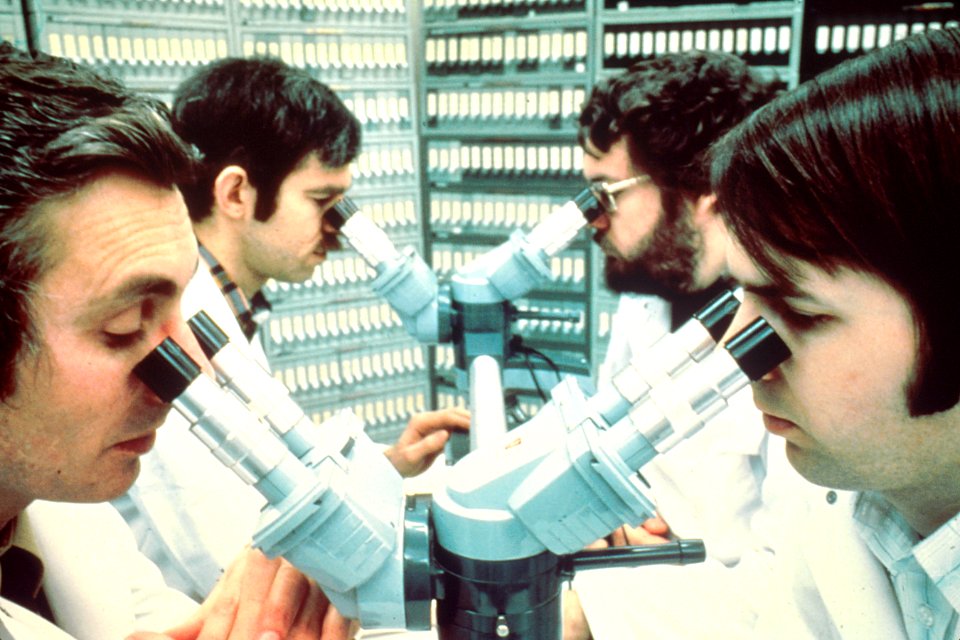 Pathologists looking into microscopes
