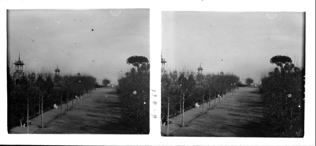 Passeig del parc de Montjuïc