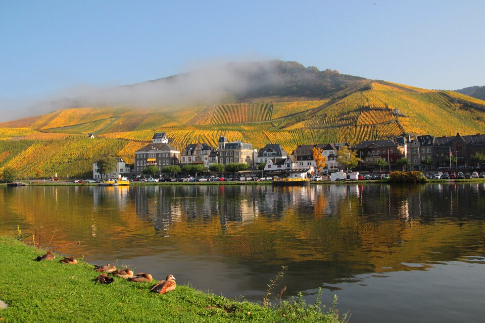 Landscape germany wine