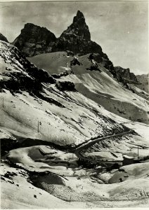 Partie am Rollepass mit Cima della (BildID 15429644)
