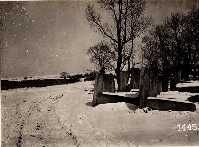 Partie vom Judenfriedhof. (März.1918.) (BildID 15713146) photo