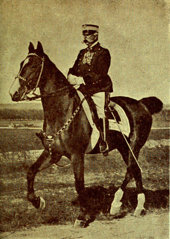 Patria Esercito Re p005
