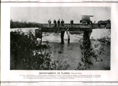 Paso de Maciel - Flores