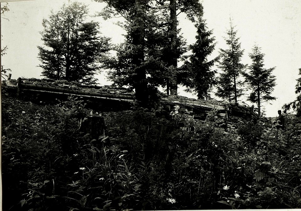 Pass Toronya-Wyszkow; Eigene Schützenstellungen im Walde. (BildID 15431128)