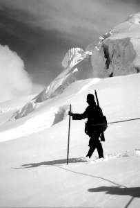 Patrouille auf dem Schwarzberggletscher - CH-BAR - 3236994