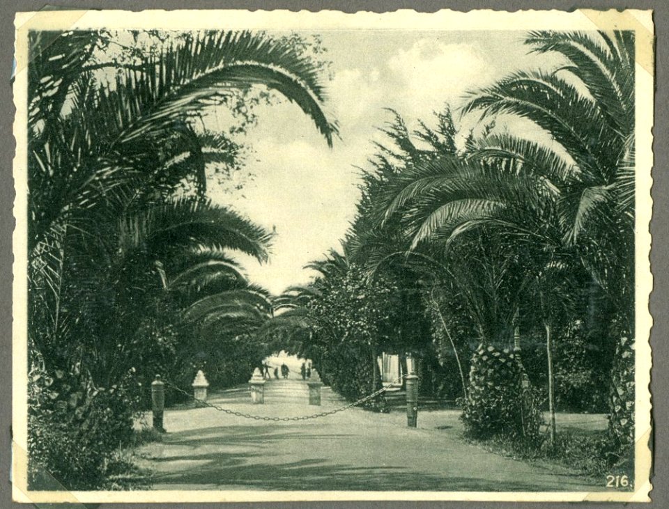 Passage to the Congo in 1939 (32367571965)