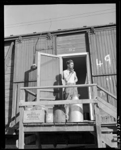 Patsy Howard, miner, standing on porch of his box car home in company housing project. Union Pacific Coal Company... - NARA - 540576