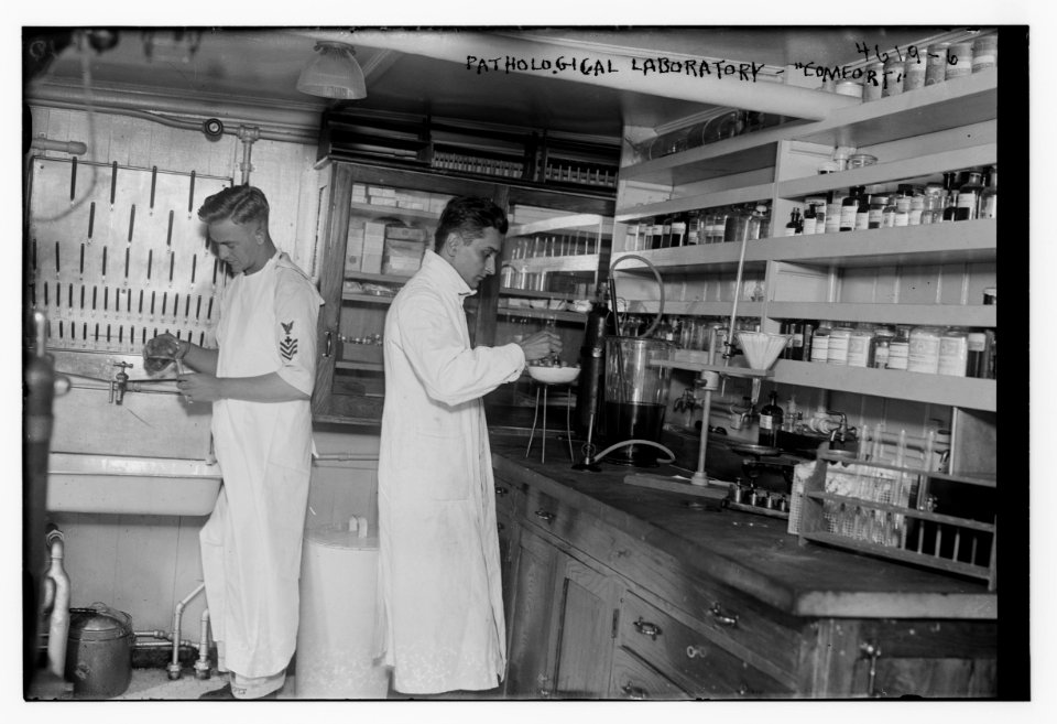 Pathological laboratory - COMFORT LCCN2014707176