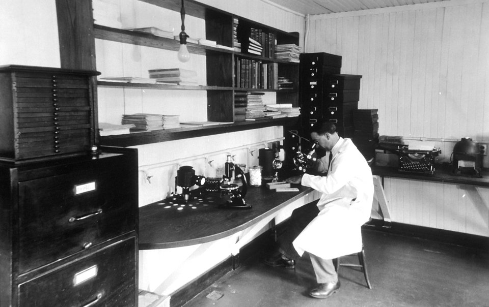 Pathology department at the central cancer research laboratories