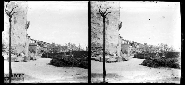 Passeig de Solsona amb cases a una banda i arbres a l'altra